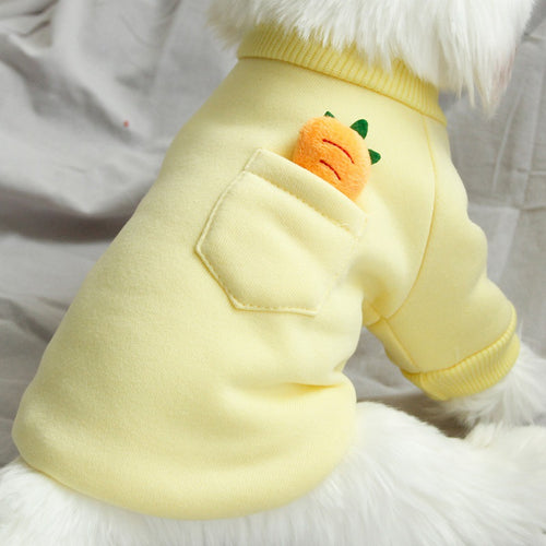 Chandail carotte pour petit chien