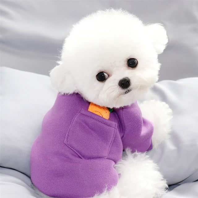Chandail carotte pour petit chien