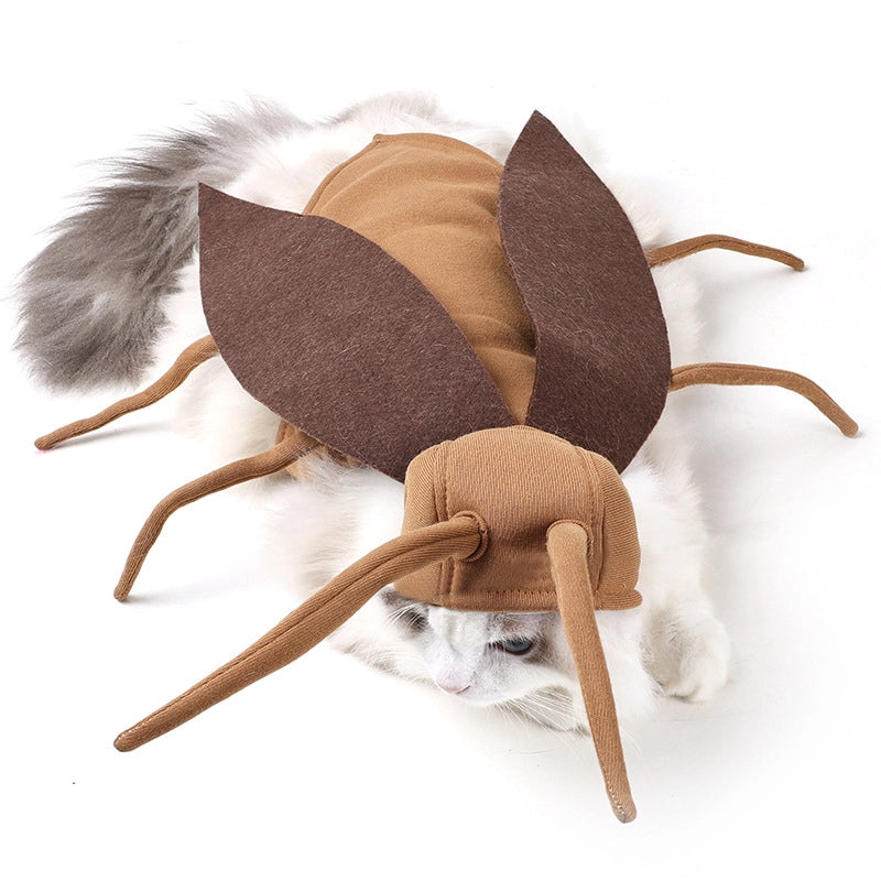 Déguisement d'Halloween rigolo – costume de coquerelle pour chien et chat