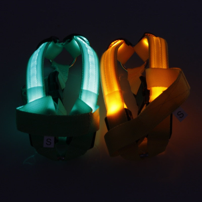 Harnais LED de sécurité en nylon pour chien