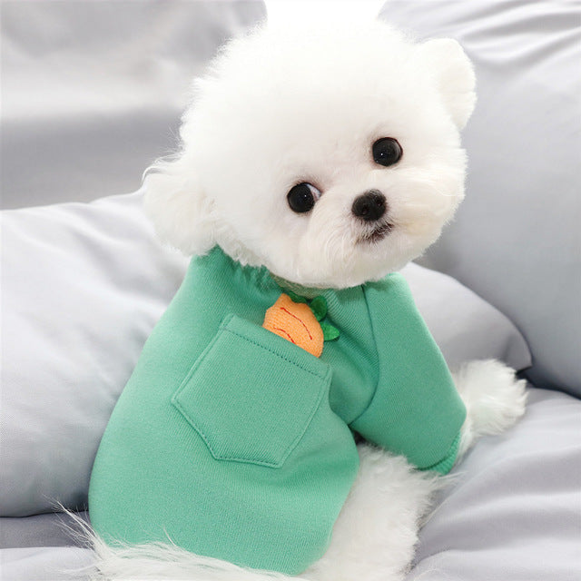 Chandail carotte pour petit chien