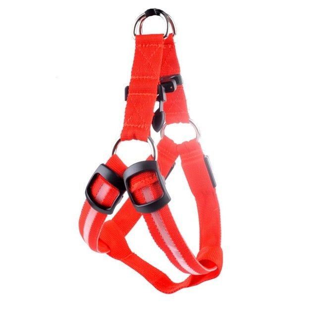Harnais LED de sécurité en nylon pour chien