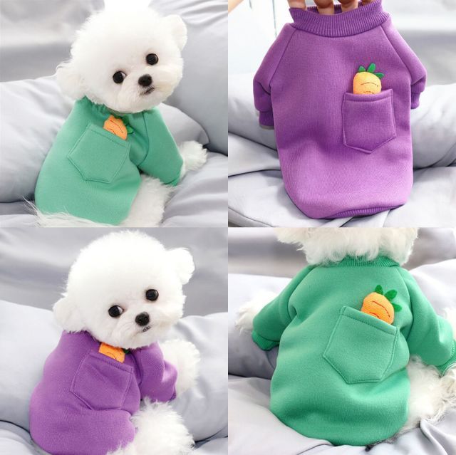 Carrot sweater for small dog