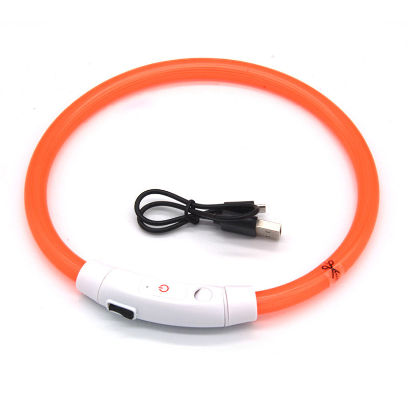 Collier lumineux à fibre optique DEL pour chien - rechargeable USB