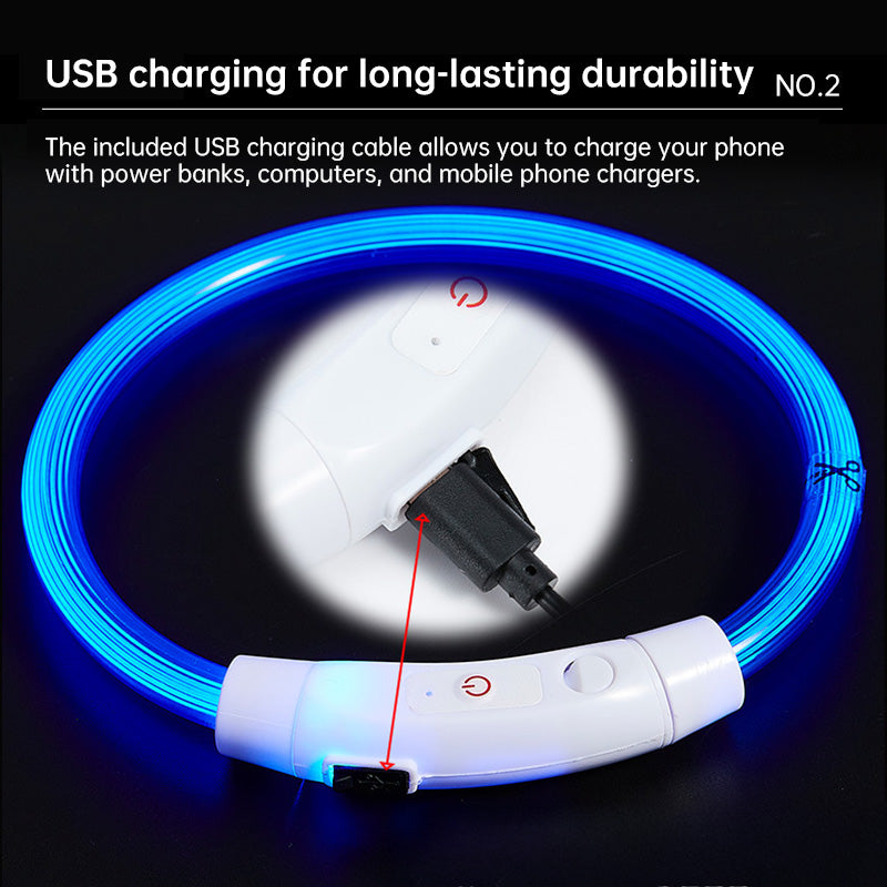Collier lumineux à fibre optique DEL pour chien - rechargeable USB