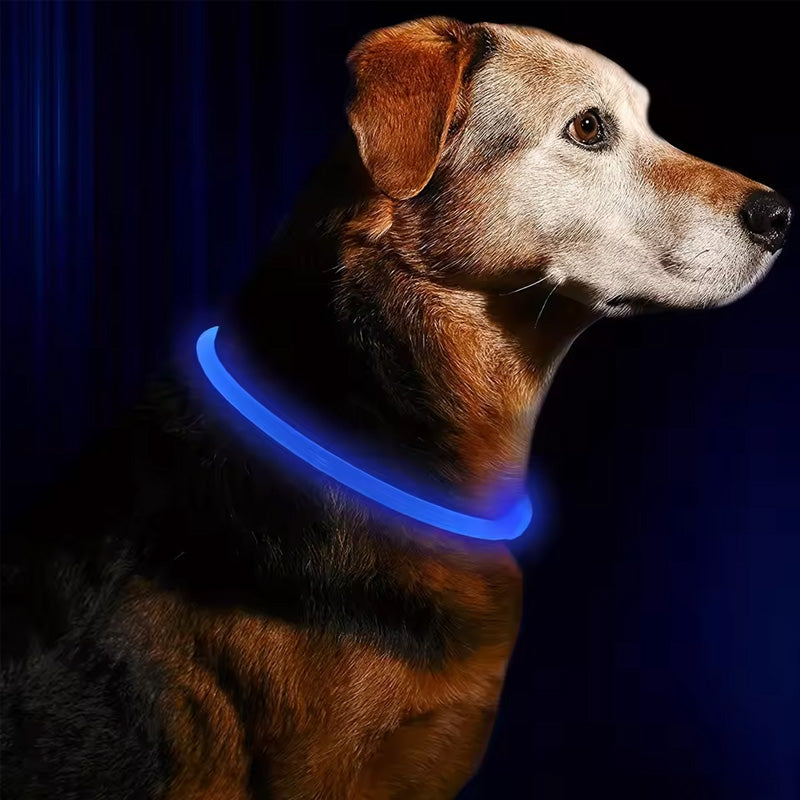Collier lumineux à fibre optique DEL pour chien - rechargeable USB