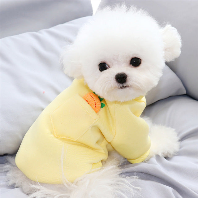 Chandail carotte pour petit chien