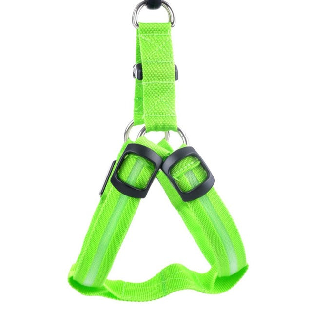 Harnais LED de sécurité en nylon pour chien