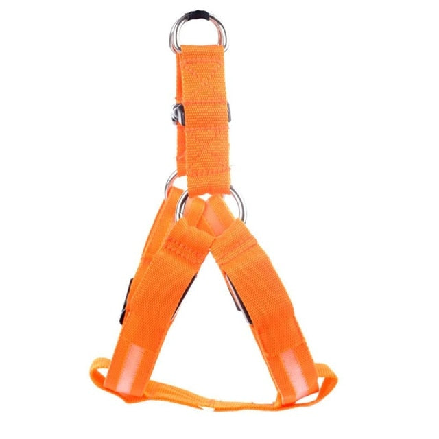 Harnais LED de sécurité en nylon pour chien
