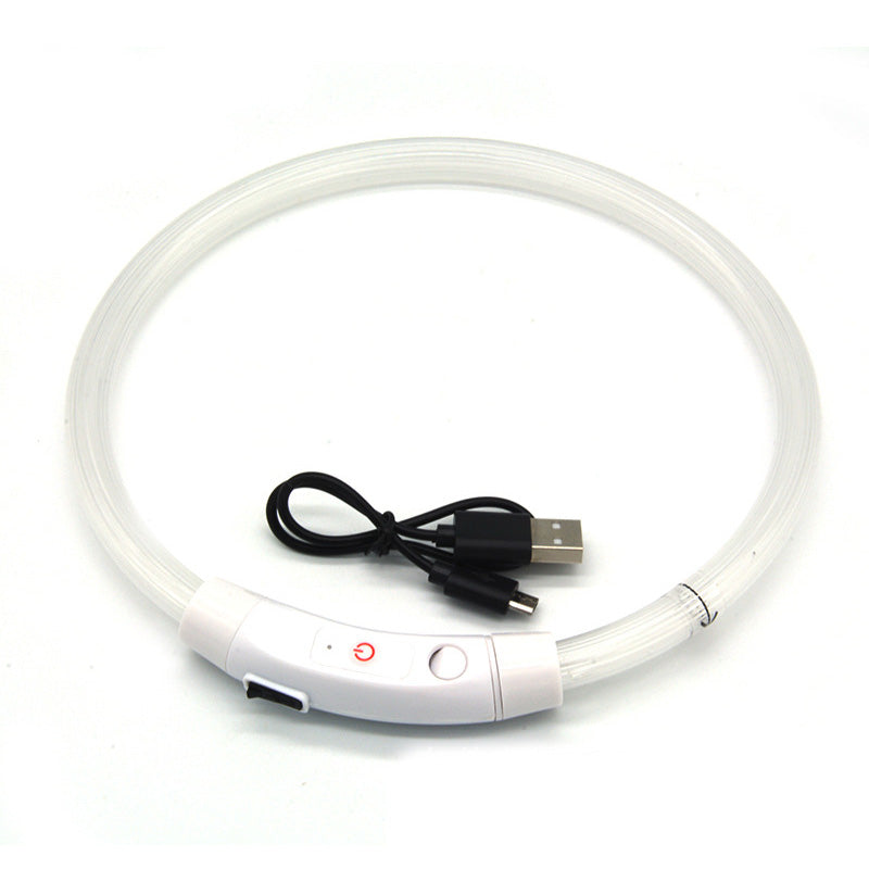 Collier lumineux à fibre optique DEL pour chien - rechargeable USB