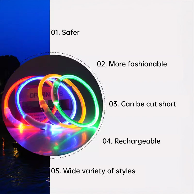 Collier lumineux à fibre optique DEL pour chien - rechargeable USB