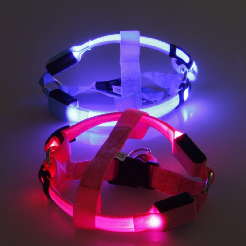 Harnais LED de sécurité en nylon pour chien