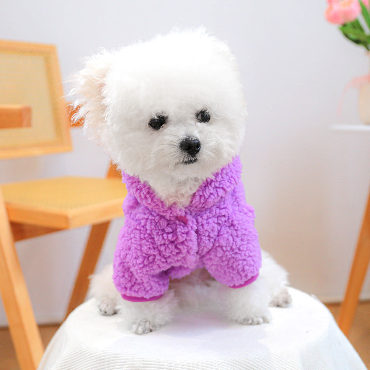 Costume de dinosaure d'Halloween pour chien et chat