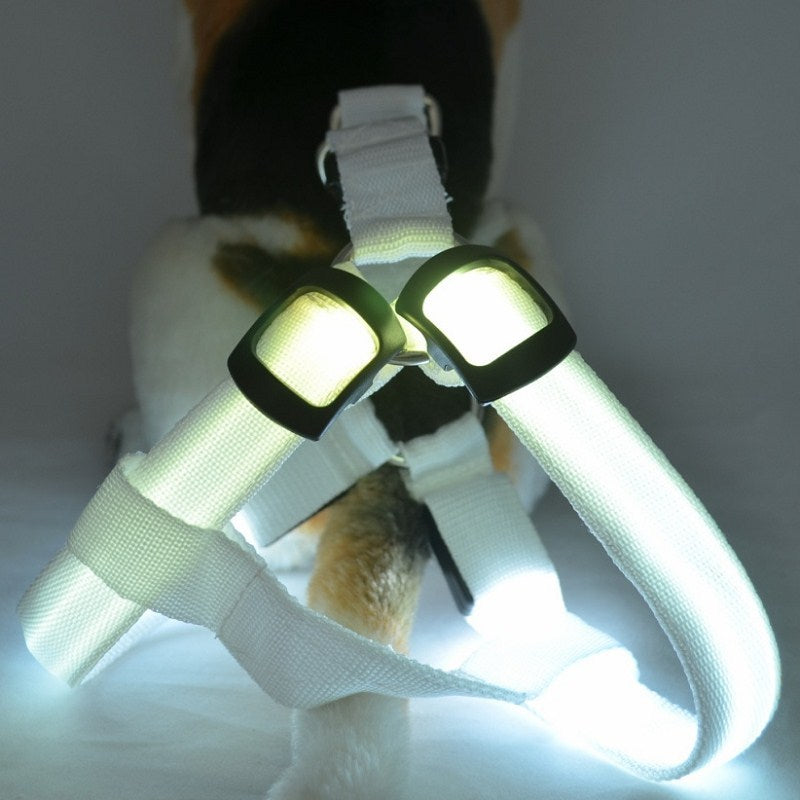 Harnais LED de sécurité en nylon pour chien