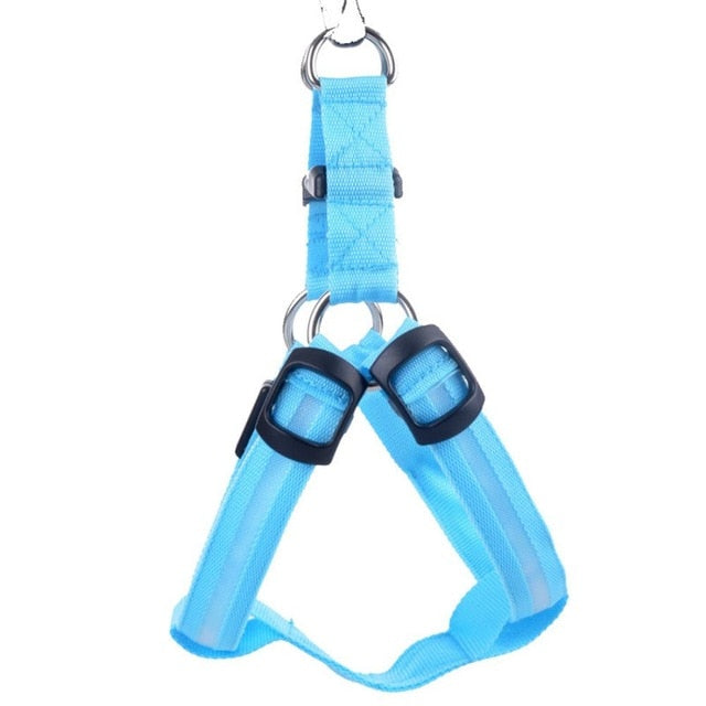 Harnais LED de sécurité en nylon pour chien