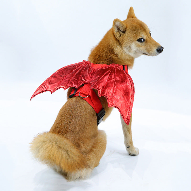 Costume ailes de chauve-souris avec harnais pour chien et chat