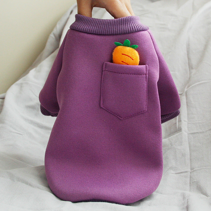 Chandail carotte pour petit chien