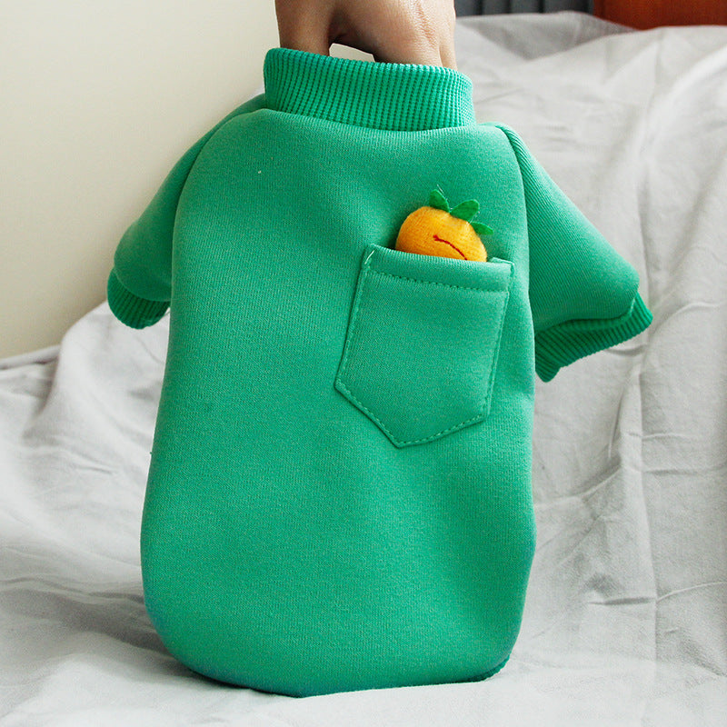 Chandail carotte pour petit chien