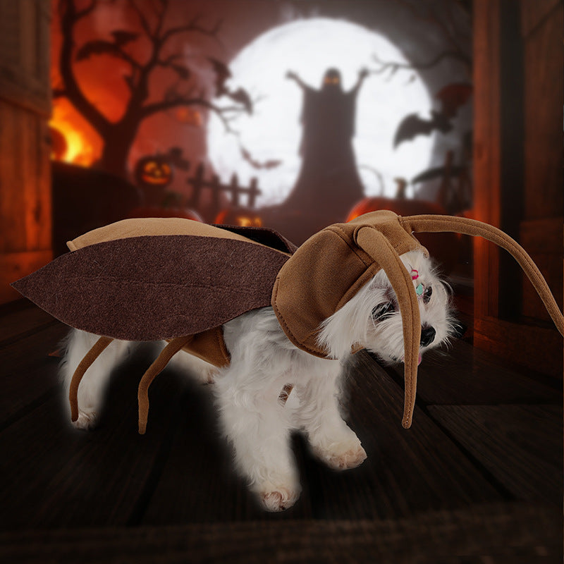 Déguisement d'Halloween rigolo – costume de coquerelle pour chien et chat