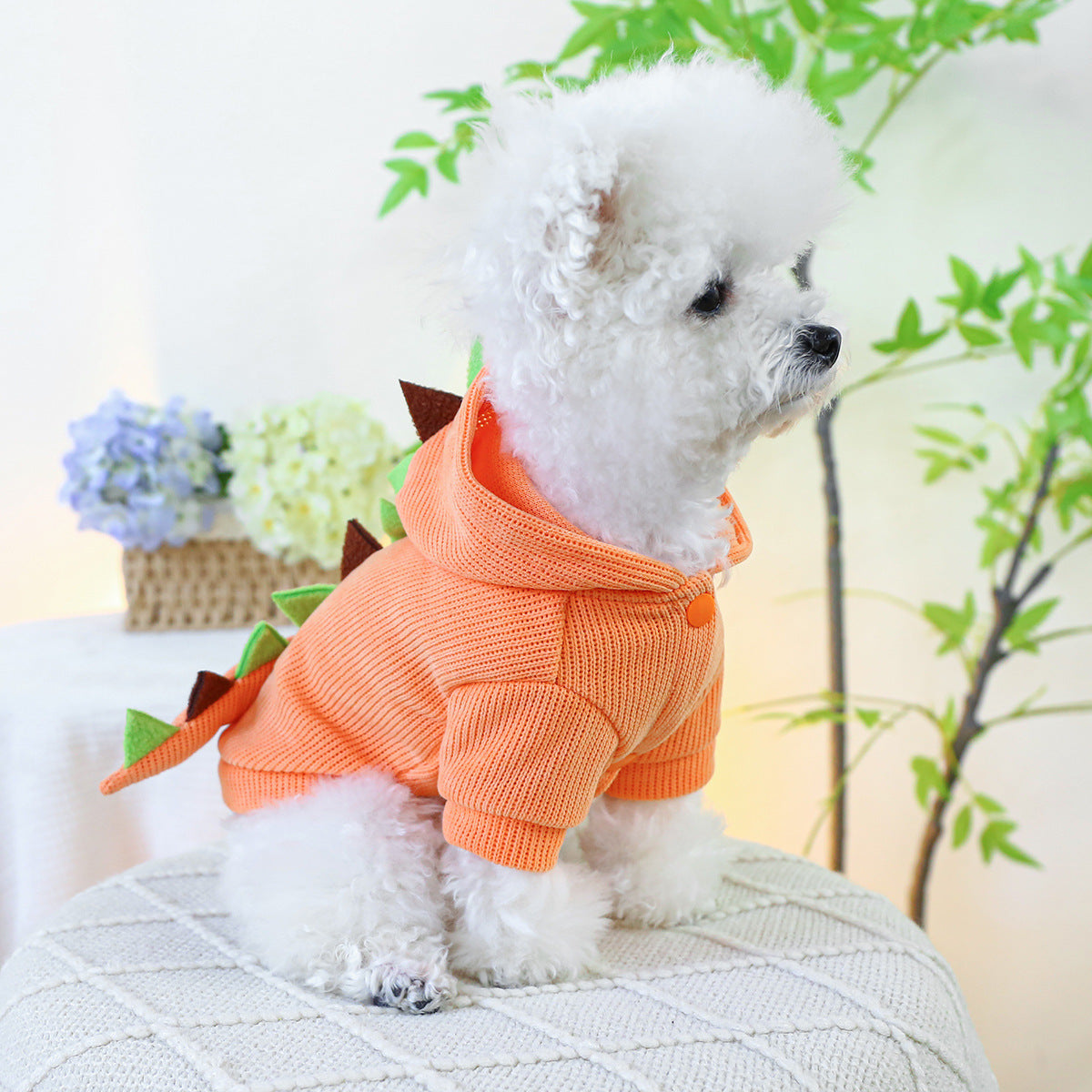 Costume de dinosaure orange pour chien et chat