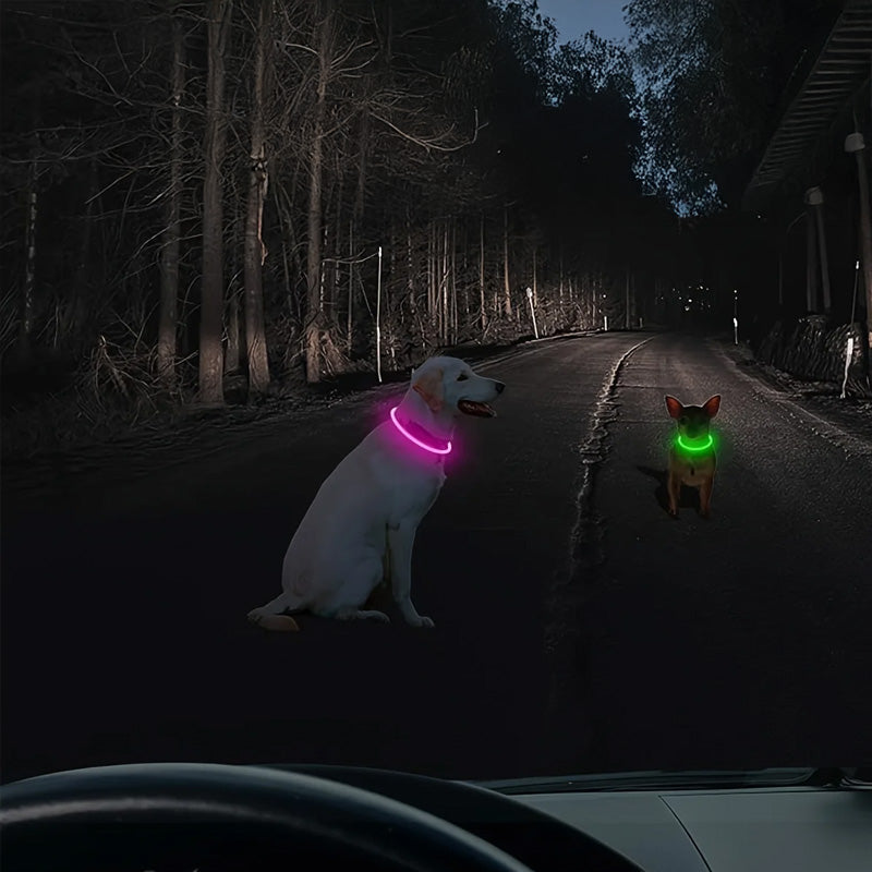 Collier lumineux à fibre optique DEL pour chien - rechargeable USB