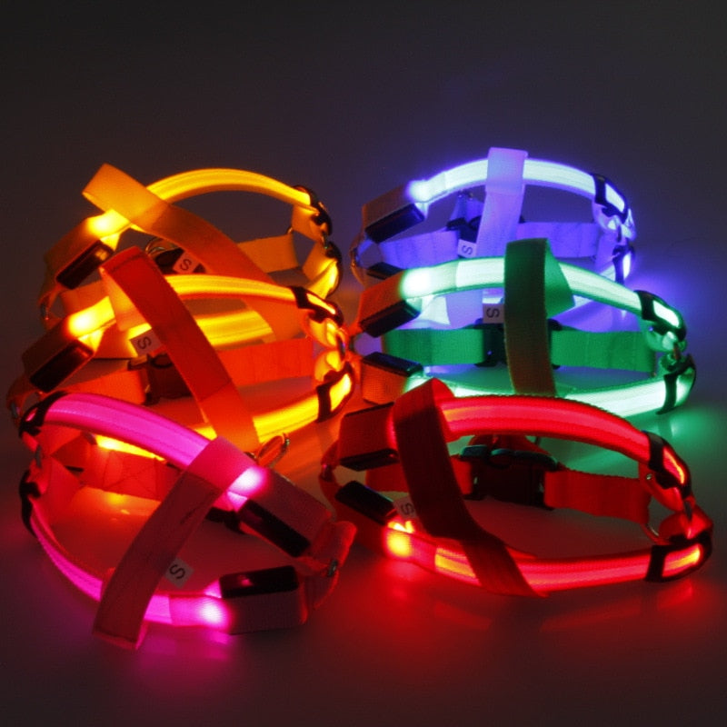 Harnais LED de sécurité en nylon pour chien