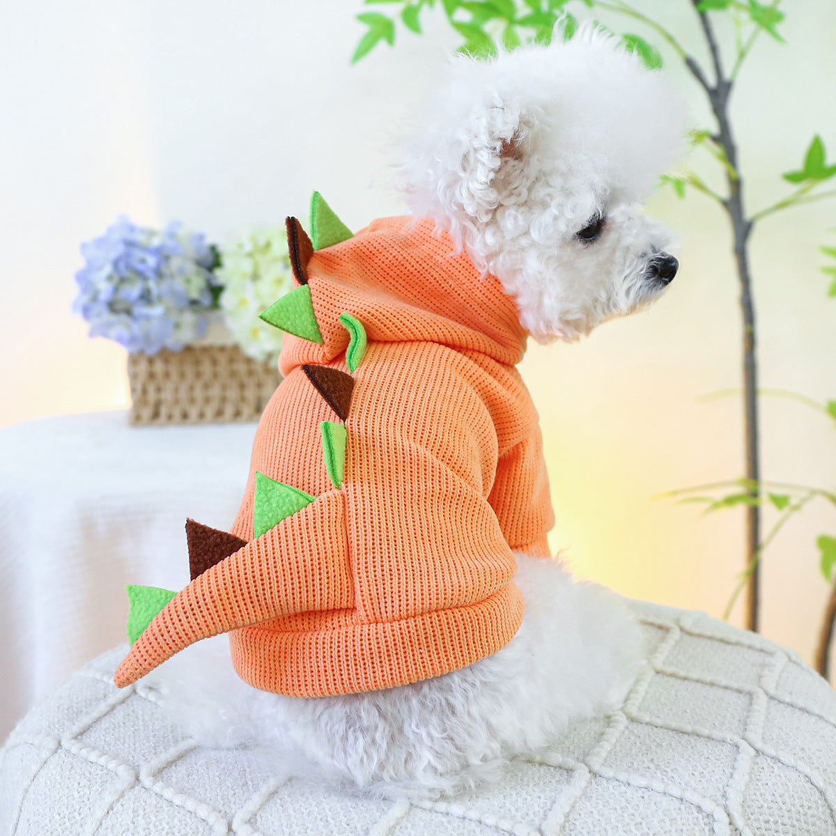 Costume de dinosaure orange pour chien et chat