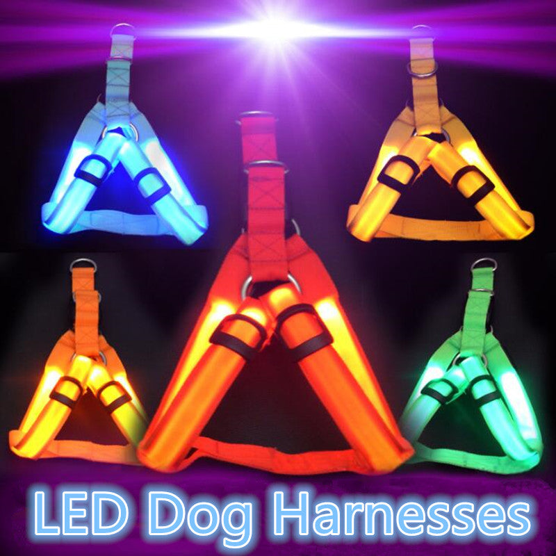 Harnais LED de sécurité en nylon pour chien