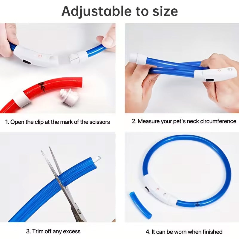 Collier lumineux à fibre optique DEL pour chien - rechargeable USB