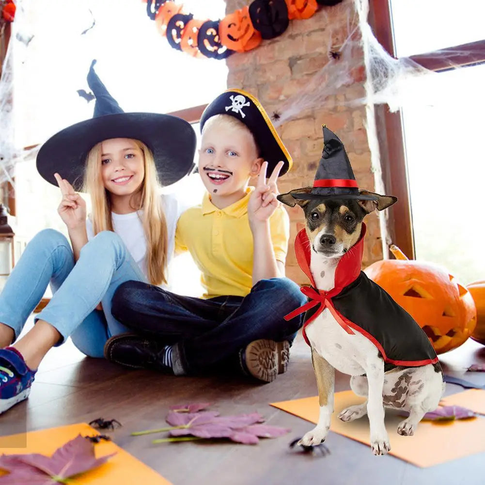 Ensemble cape et chapeau de vampire pour chien et chat
