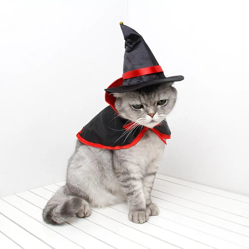Ensemble cape et chapeau de vampire pour chien et chat