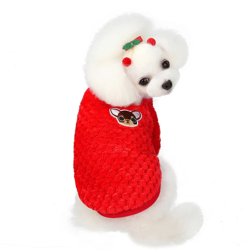 Chandail en peluche pour chien - hiver