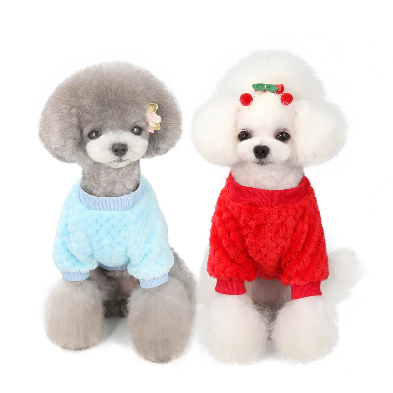 Chandail en peluche pour chien - hiver