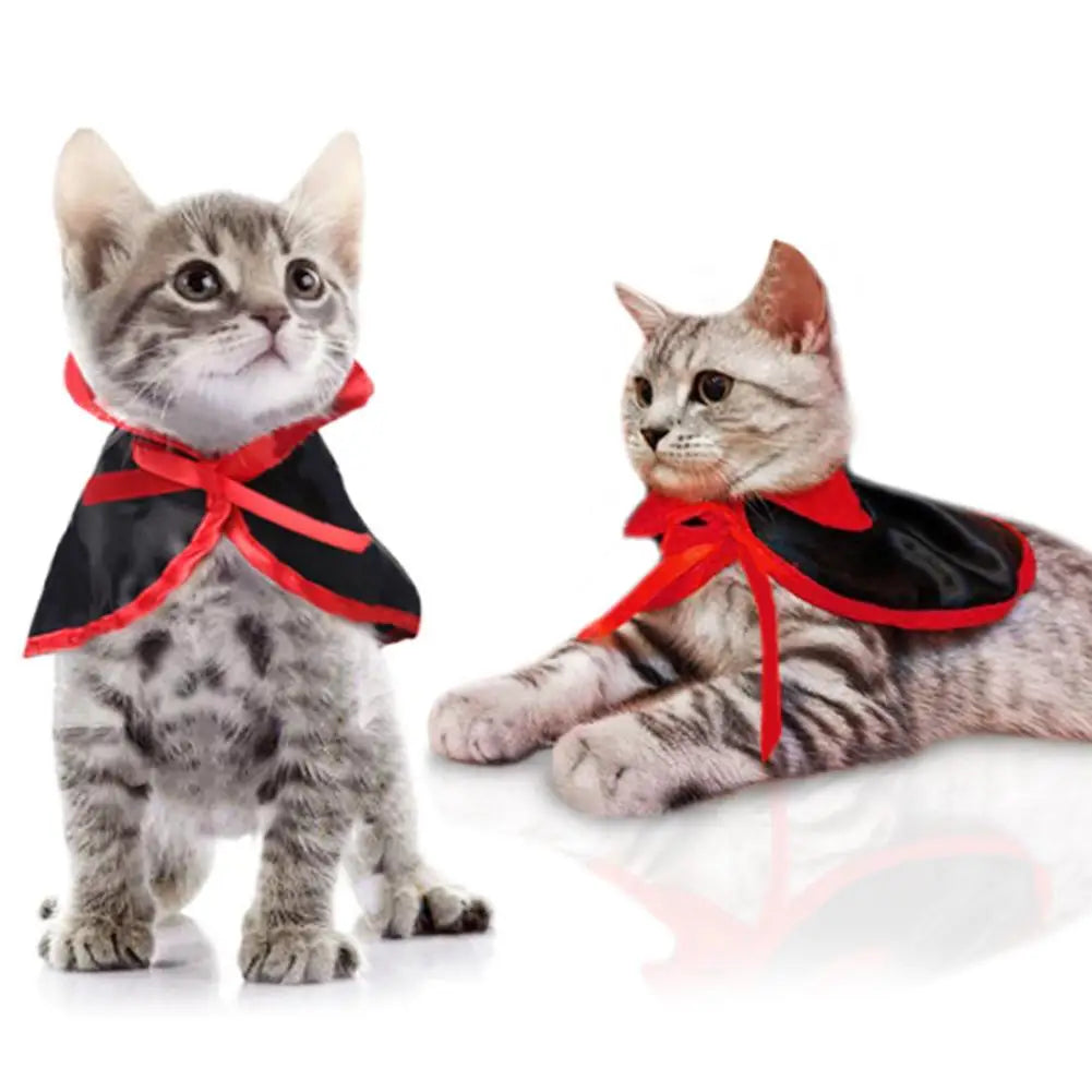 Ensemble cape et chapeau de vampire pour chien et chat